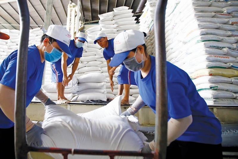 Nhiều quốc gia khác đều “đổ dồn” sang Việt Nam, Thái Lan để tìm kiếm phương án nhập khẩu gạo.