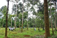 Gần 200 tình nguyện viên tham gia ngày trồng rừng tại Rừng Đồng Nai