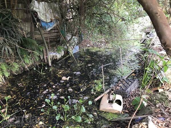 Khu vực thuộc hành lang kênh mương cũ vẫn ngổn ngang rác thải sinh hoạt của người dân, gây ô nhiễm môi trường
