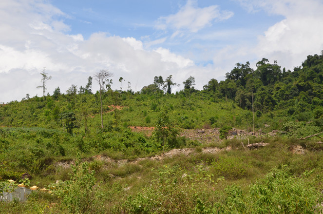 sẽ nộp hơn 1,6 tỷ đồng tiền trồng rừng thay thế khi thực hiện dự án Thủy điện Sông Âm tại huyện Lang Chánh.