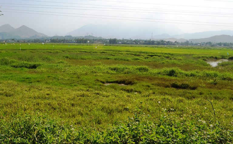 Hoang phí đất nông nghiệp tại Đà Nẵng
