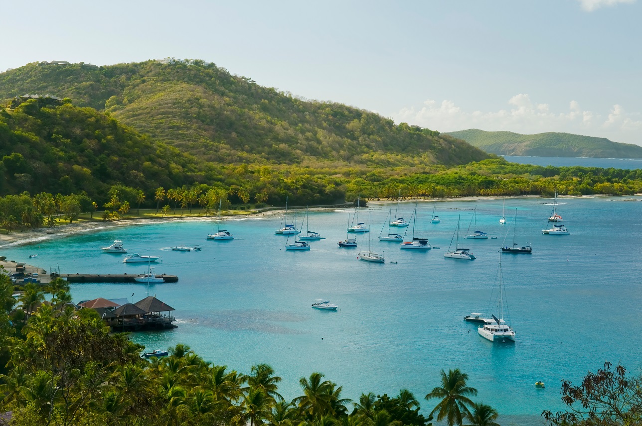 Mustique - hòn đảo liên tục đứng top đầu danh sách các điểm nghỉ dưỡng xa hoa của thế giới