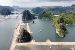 Phó Thủ tướng chỉ đạo kiểm tra dự án quây núi đá vịnh Hạ Long làm "hòn non bộ"