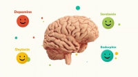 Làm sao để tập luyện não bộ tiết ra nhiều hooc-môn hạnh phúc hơn?