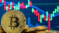Bitcoin tăng giảm thất thường: Chỉ đầu tư nếu như bạn sẵn sàng thất bại!