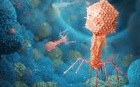 Những virus có bộ gen "ngoài hành tinh" sẽ khiến sách giáo khoa sinh học phải được viết lại