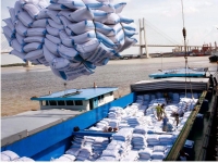 Nhiều rào cản đối với DN xuất khẩu gạo