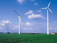 Giá và chính sách hỗ trợ phát triển điện gió