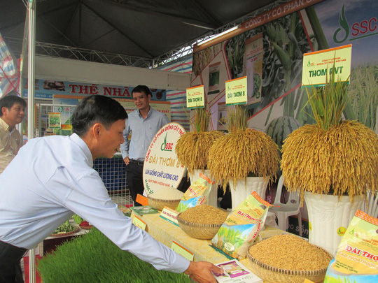 hị trường nhập khẩu gạo ngày càng đòi hỏi cao về an toàn thực phẩm, truy xuất nguồn gốc
