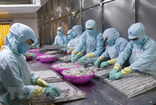 Từ đầu năm 2018 đến nay, xuất khẩu mực, bạch tuộc của Việt Nam sang Italy giảm liên tục. 