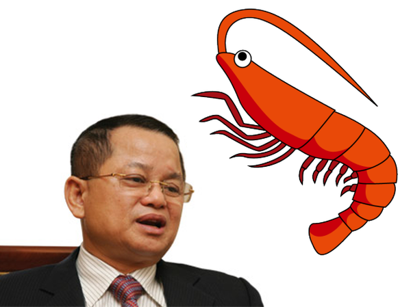 Ông Lê Văn Quang, Chủ tịch kiêm Tổng giám đốc Công ty Cổ phần Tập đoàn Thủy sản Minh Phú.