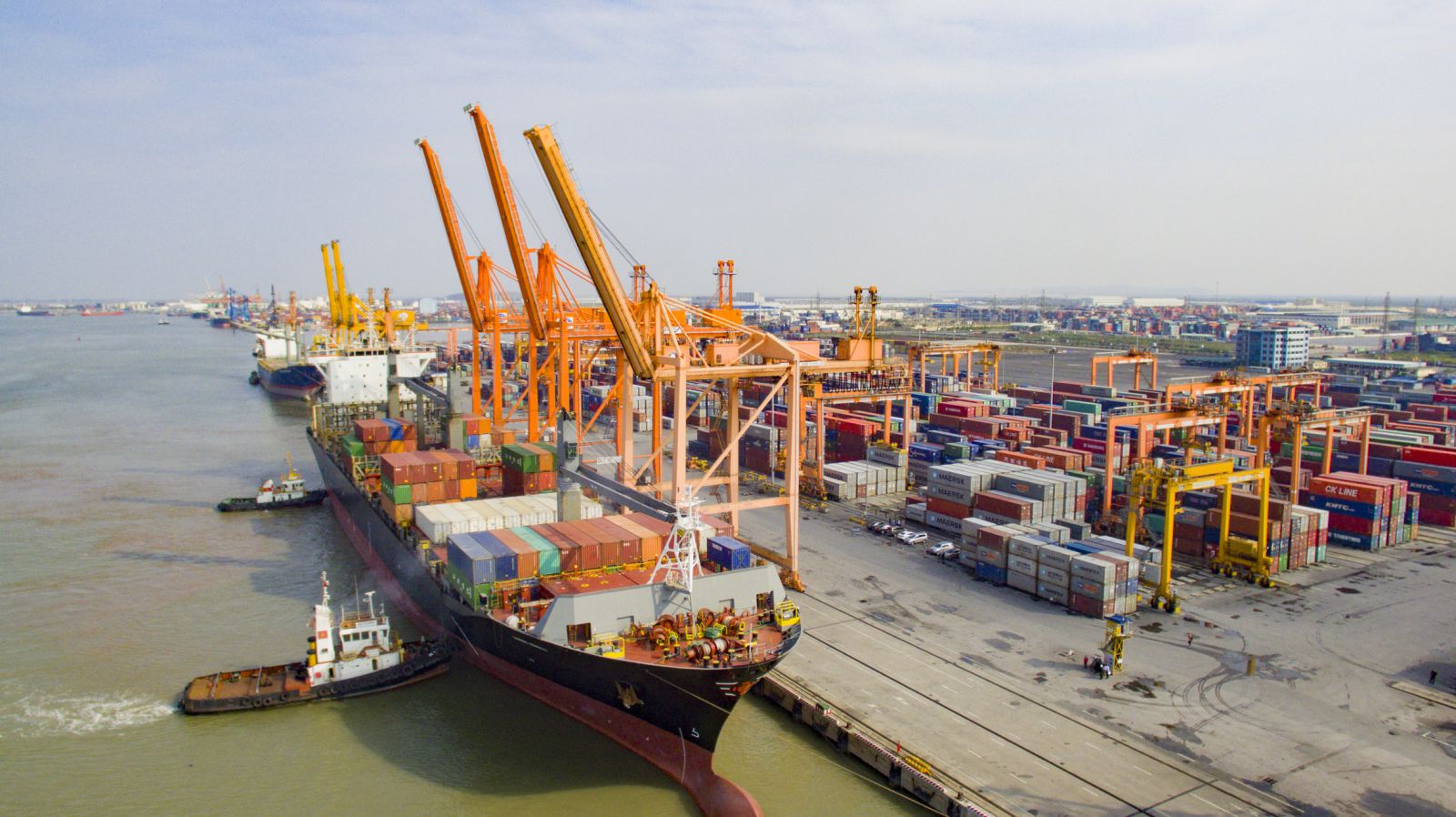 Hàng hóa thông qua cảng tăng nhưng các doanh nghiệp vận tải biển vẫn khó thở.