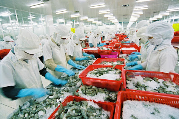 Doanh nghiệp xuất nhập khẩu thuỷ sản Việt Nam chuẩn bị đón cơ hội lớn
