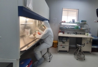 Viện Pasteur Nha Trang nhận hỗ trợ xét nghiệm COVID-19 trở lại