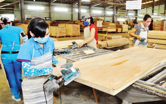Gỗ Trường Thành từng là công ty chế biến và xuất khẩu gỗ hàng đầu Việt Nam cả về năng lực sản xuất và vùng nguyên liệu, nhận được nhiều hợp đồng cung cấp sản phẩm cho các dự án bất động sản lớn