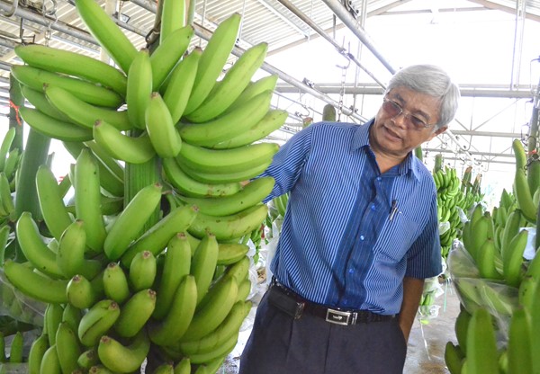 Hơn 20 lần đổi giống cây thất bại, 40 năm kiên trì với nông nghiệp đã làm nên thành công của ông Võ Quan Huy - Giám đốc Công ty TNHH Huy Long An