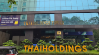 Thaigroup kinh doanh ra sao trước khi "đảo vai" với Thaiholdings?