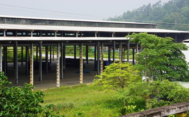 Nhà máy Vinaxuki tại Thanh Hoá hiện bỏ hoang nhiều năm.