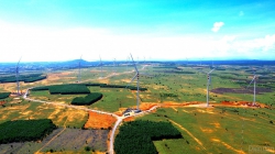 Nhà máy điện gió Thái Hòa, chuyện bây giờ mới kể