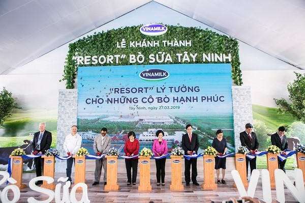 Sau 5 năm xây dựng và hoàn thiện, Vinamilk đã đánh dấu cột mốc khánh thành Trang trại bò sữa Tây Ninh – “Resort” lý tưởng cho những con bò hạnh phúc.