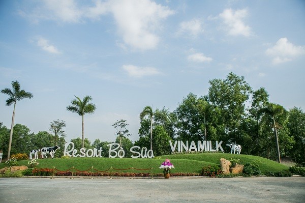 Khung cảnh đậm chất “resort” của Trang trại bò sữa Tây Ninh.