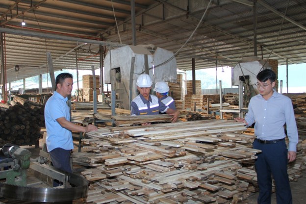 Công ty với diện tích 18 nghìn m2, 80 công nhân, xuất nhập khẩu gián tiếp qua công ty Hoàng Long đi Nhật – Trung Quốcp/- Sản phẩm có răm gỗ và gỗ xẻ thanh