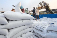 Đẩy mạnh cho vay thu mua thóc gạo khu vực ĐBSCL