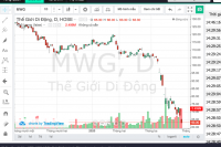 Áp lực đóng cửa hệ thống khiến cổ phiếu MWG "lau sàn"