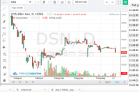 Cổ phiếu DSN giảm mạnh vì đâu?