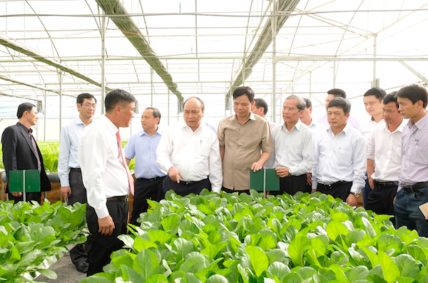 Thủ tướng Nguyễn Xuân Phúc đã thăm trang trại sản xuất giống, khu sản xuất rau thủy canh, khu sản xuất rau an toàn đạt tiêu chuẩn Vietgap và thăm khu sơ chế sau thu hoạch của Công ty Phong Thúy tại tại Thị trấn Liên Nghĩa, huyện Đức Trọng.