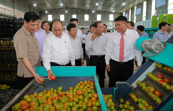 Sáng nay (30/7), Thủ tướng Nguyễn Xuân Phúc chủ trì Hội nghị toàn quốc “Thúc đẩy doanh nghiệp đầu tư vào lĩnh vực nông nghiệp” tại TP Đà Lạt, Lâm Đồng.