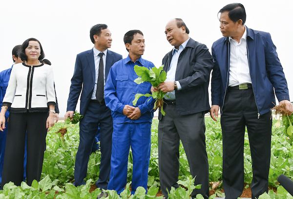 Thủ tướng Nguyễn Xuân Phúc khẳng định ngành nông nghiệp đã có một năm tăng trưởng