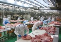 Doanh nghiệp thịt lợn sụt giảm 50% sản lượng tiêu thụ vì… dịch tả lợn và sán lợn