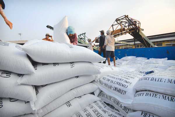 Xuất khẩu gạo Việt vào EU 6 tháng đầu năm chứng kiến mức giảm 0,6% về lượng, EVFTA đươc kỳ vọng tạo cú lội ngược dòng của gạo Việt tại thị trường này.