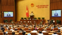 Hàng nước ngoài “đội lốt” hàng Việt: Kinh tế “mở” hay kinh tế “hở”?