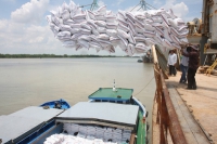 Chính phủ yêu cầu tạm dừng ký hợp đồng xuất khẩu gạo mới ít nhất đến ngày 28/3