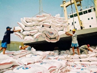 Đề nghị tạm dừng xuất khẩu gạo: Bộ Nông nghiệp nói gì?