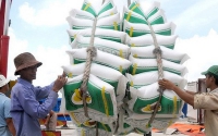 Ngành Công Thương với xuất khẩu gạo: Đừng để chính sách "giật cục"
