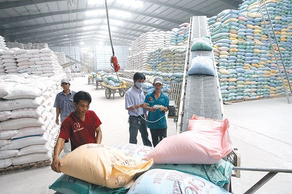tổng lượng hợp đồng đã ký nhưng chưa giao hàng là gần 1,67 triệu tấn gạo.