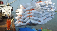 400.000 tấn gạo thông quan chỉ trong 3h: Phó Thủ tướng yêu cầu Bộ Tài chính và Công Thương làm rõ