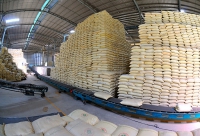 Bộ Công Thương lý giải vì sao không đấu thầu hạn ngạch xuất khẩu gạo