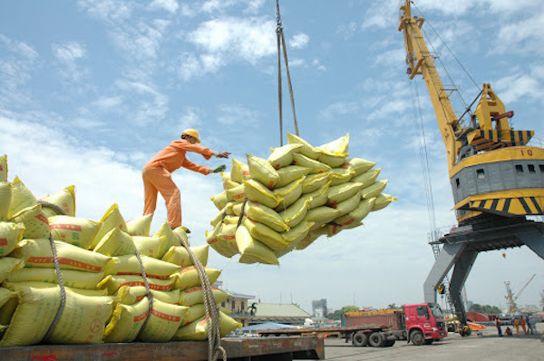 Việc điều hành xuất khẩu gạo thiếu nhất quán thời gian vừa qua đã gây ảnh hưởng lớn tới