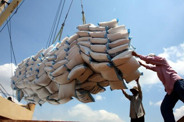  trong 2 tháng đầu năm 2021, Việt Nam đã xuất khẩu trên 608.768 tấn gạo các loại, kim ngạch đạt 336,1 triệu USD.
