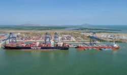 Doanh nghiệp cần cơ chế ưu đãi đặc thù cho thành lập đội tàu container Việt Nam