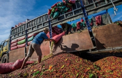 Xung đột Nga – Ucraine tác động thế nào đến xuất nhập khẩu nông sản của Việt Nam?