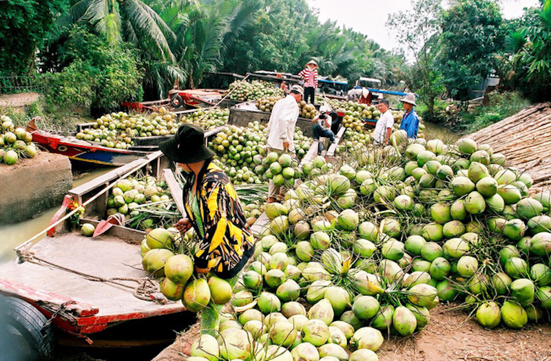 Tỉnh Bến Tre cũng kiến nghị hỗ trợ các doanh nghiệp Bến Tre đưa sản phẩm dừa tham gia vào các sàn giao dịch thương mại điện tử, các nền tảng thương mại điện tử xuyên biên giới 