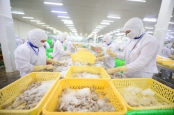 Trung Quốc ra thông báo mới về kiểm tra COVID-19 với thực phẩm lạnh nhập khẩu