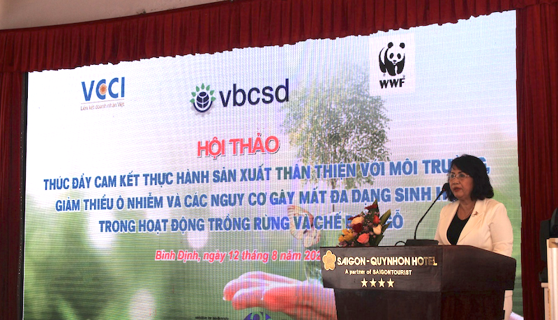 Bà Đồng Thị Ánh - Ủy viên Ban chấp hành VCCI phát biểu khai mạc.
