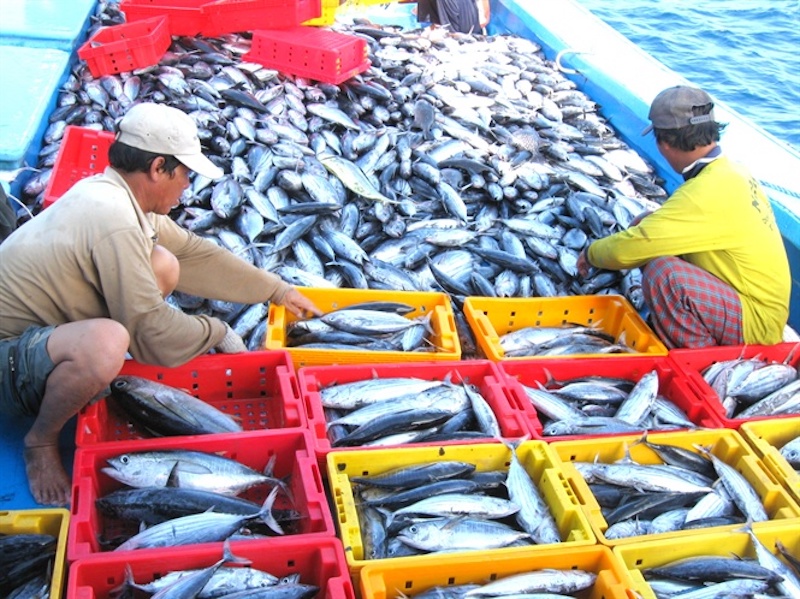 đoàn Thanh tra của Ủy ban châu Âu (EC) sang Việt Nam kiểm tra thực tế lần thứ 3 về tình hình chống khai thác hải sản bất hợp pháp, không báo cáo và không theo quy định (khai thác IUU).