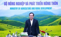 Phó Thủ tướng đề nghị Bộ NN&PTNT quan tâm đặc biệt gỡ 